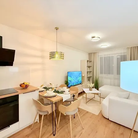 Modern One-bedroom Near Centre Apartment *
